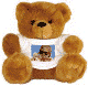 ours peluche photo