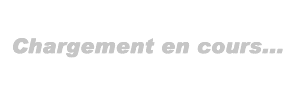 Chargement en cours...