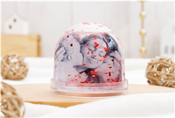 Boule à coeurs avec votre photo Photoweb
