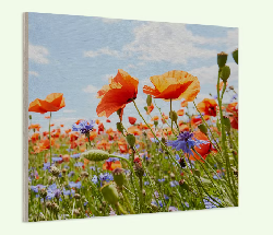 Tableau Photo sur bois 20x20cm Pixum